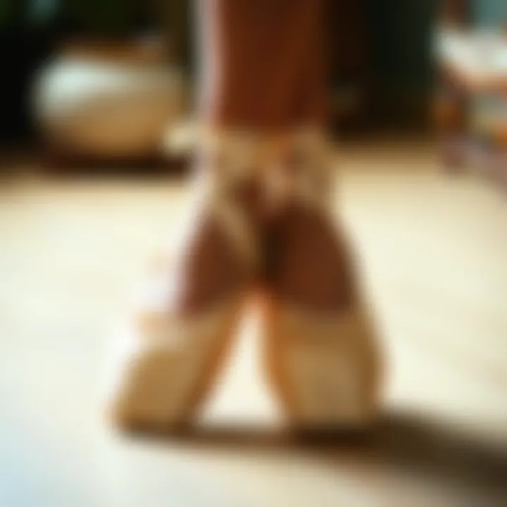 Artistic portrayal of ballet slippers reflecting cultural significance