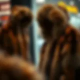 Stylish faux fur hoodie on display