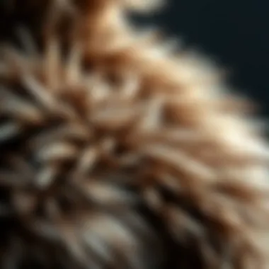 Detailing the Softness of Faux Fur Material Close-up of luxurious faux fur texture