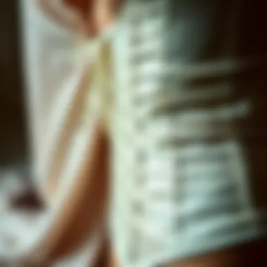 A close-up of luxurious fabric choices for corsets and stockings