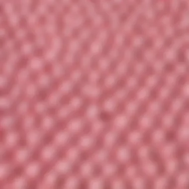 Close-up of unique fabric textures that embody the kawaii sexy clothing trend, highlighting intricate patterns and soft materials.