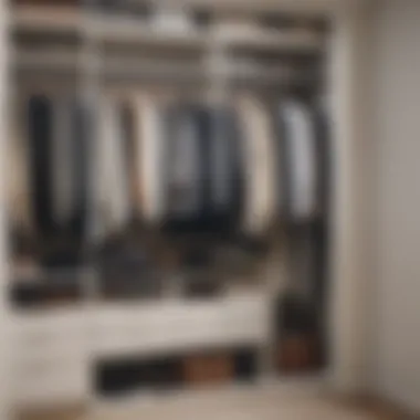 Efficient Wardrobe Organization with Hanging Organizers Hanging closet organizers in a well-arranged wardrobe.