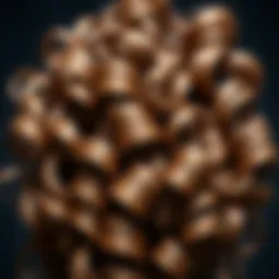 Textured curls of one piece extensions displayed elegantly