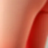 Close-up of fabric texture showcasing the quality of peach booty leggings