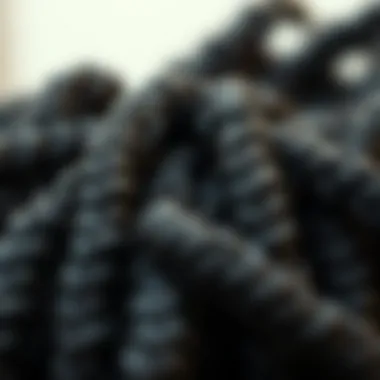 Close-up view of butterfly locs highlighting texture and curls