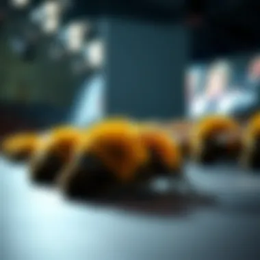 Bee Slippers on the Fashion Runway Fashionable display of bee slippers on a runway