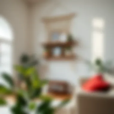 A beautifully styled macrame shelf in a bright living room environment displaying decorative items