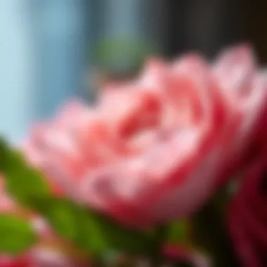 Intricate Design of Artificial Petals Close-up of intricately designed artificial petals showcasing craftsmanship