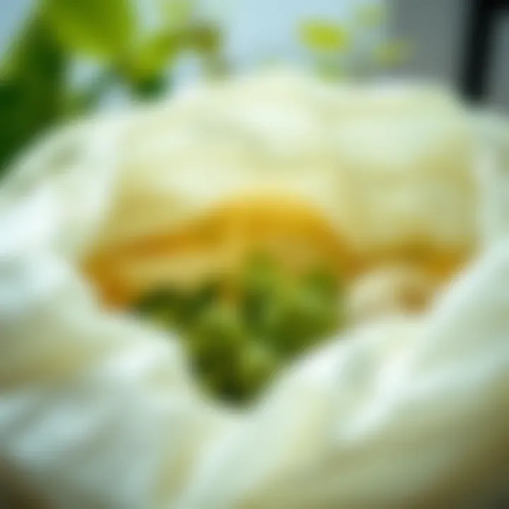 Sustainable Materials in Storage Bags Eco-friendly materials used in storage saver bags showcased