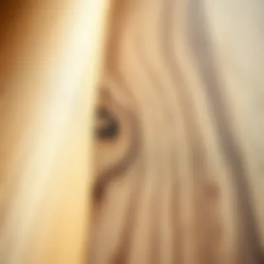 Textured Wood Grain Adhesive Surface Close-up of wood grain adhesive contact paper on a surface