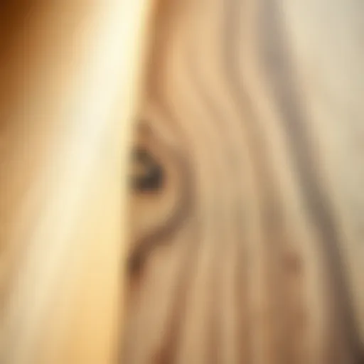 Textured Wood Grain Adhesive Surface Close-up of wood grain adhesive contact paper on a surface