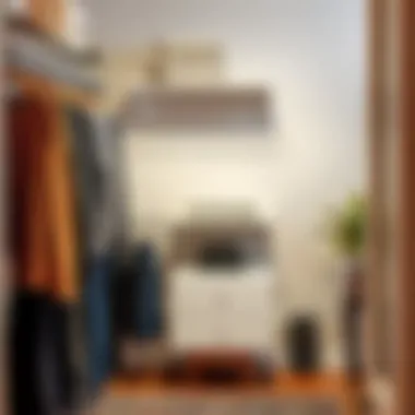 Versatile Design Options Versatile design options for closet tension shelves