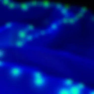 Fabric Choices for Optimal Luminous Appeal Diverse fabrics that enhance glow-in-the-dark effects