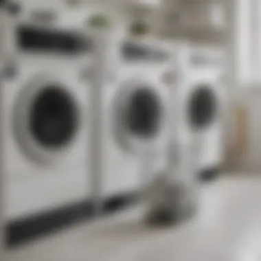 Organized laundry before washing with a large mesh bag