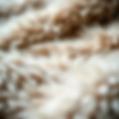 Luxurious Texture of Rabbit Fur Close-up view of the soft texture of a rabbit fur blanket