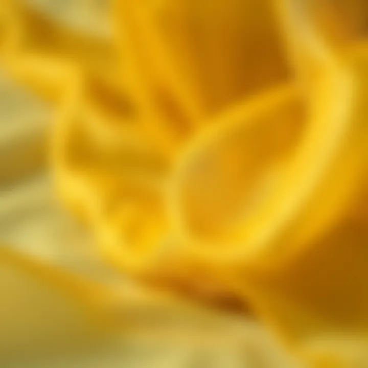 Close-up view showcasing the shimmering texture of gold organza fabric