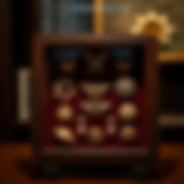 Brooches displayed in a shadow box with historical significance