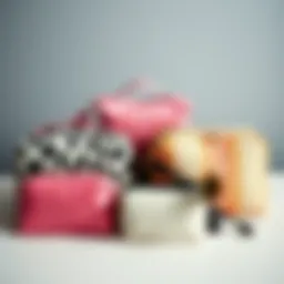 Elegant arrangement of coordinated toiletry and makeup bags showcasing stylish patterns