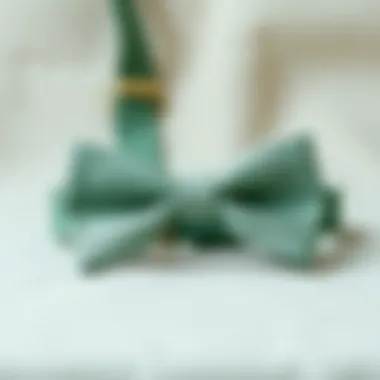 A sophisticated sage green bow tie elegantly displayed on a textured fabric background.