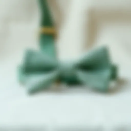 A sophisticated sage green bow tie elegantly displayed on a textured fabric background.