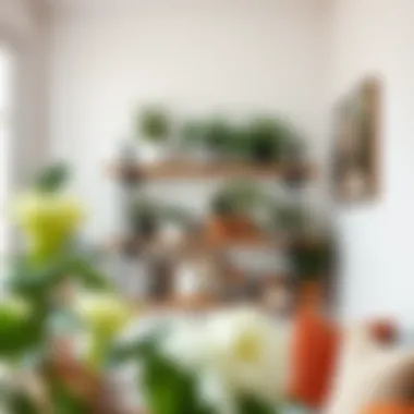 Stylish Corner Shelf Featuring Plants and Literature Stylish corner shelf with plants and books in a cozy living room