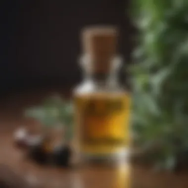 Historical timeline of essential oils usage