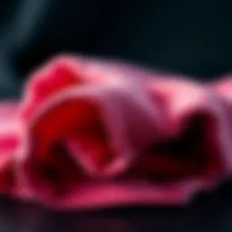 Innovative lightweight gym towel showcasing advanced fabric technology