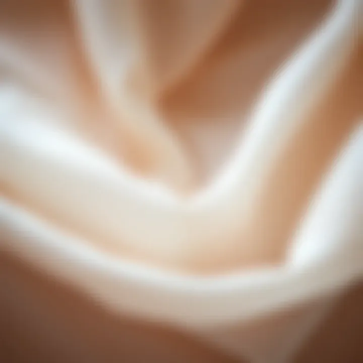 Close-up of sheer fabric highlighting its texture and transparency.