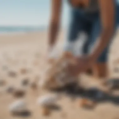 A serene beach scene with a person using a mesh bag to collect shells