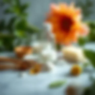 Natural Ingredients for Waxing A selection of natural ingredients used in painless waxing formulations.