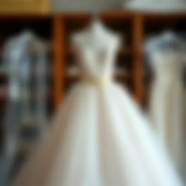 An eco-friendly display of clear plastic bags used for dress preservation.