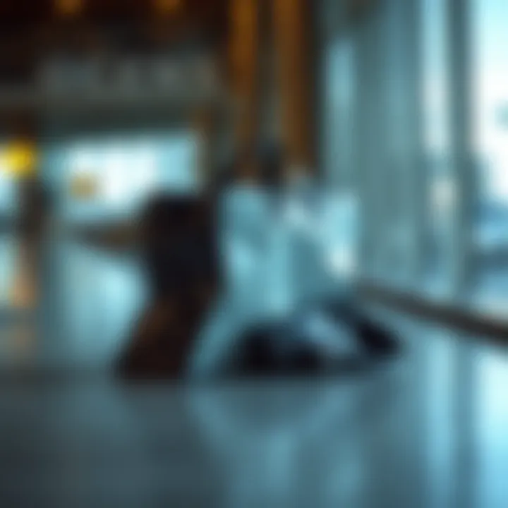 Elegant Aesthetic of Waterproof Shoes Bag Aesthetic design of a waterproof shoes bag displayed elegantly.