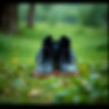 Stylish Waterproof Shoes Bag Showcasing a stylish waterproof shoes bag in a natural setting.